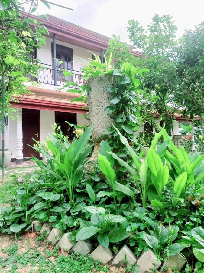 Dinu Lanka Resort Katunayaka Exterior foto