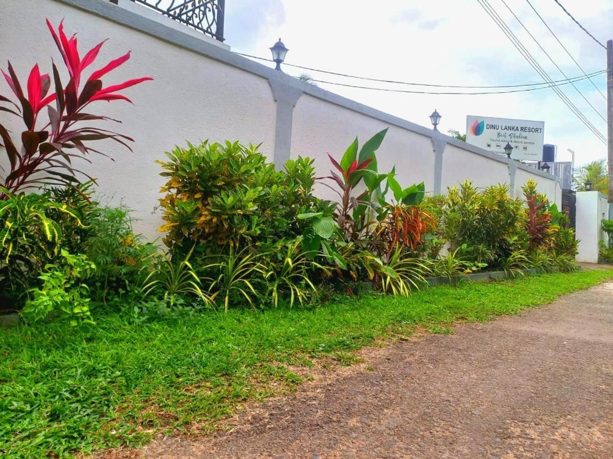 Dinu Lanka Resort Katunayaka Exterior foto